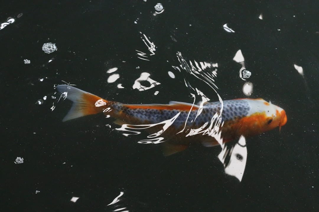 Pirão de Peixe: A Alma Caiçara na Sua Mesa – Segredos e Sabores