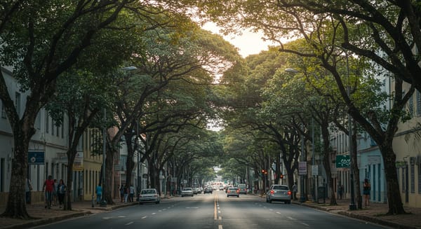 Avenida Doutor Getúlio Vargas: Muito Mais Que Um Endereço