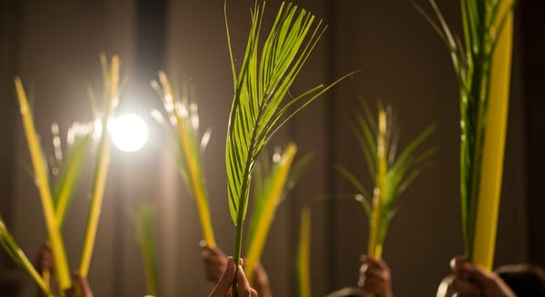 Bom Dia Domingo de Ramos 2025: Mensagens de Fé e Renovação