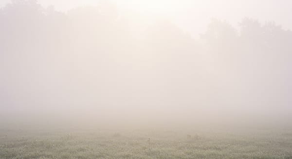 Bom Dia, Meu Anjo: Mensagens Que Tocam a Alma e Iluminam o Dia