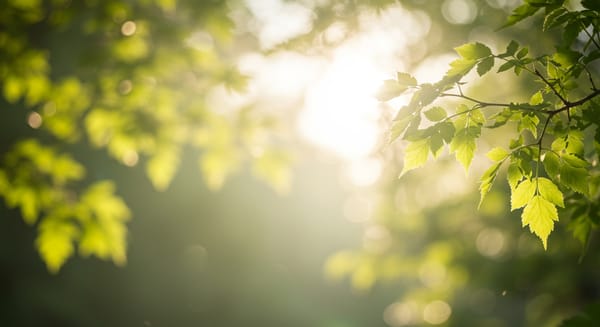 Bom Dia e Ótima Semana: Mensagens Para Inspirar Seus Dias!