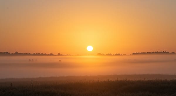 Bom Dia para Watts: Mensagens que Tocam a Alma e Iluminam o Seu Dia