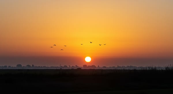 Bom Dia Que Deus Te Abençoe: Mensagens Que Tocam a Alma