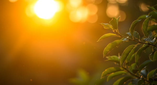 Bom Dia, Quinta-feira: Mensagens Que Inspiram e Aquecem o Coração