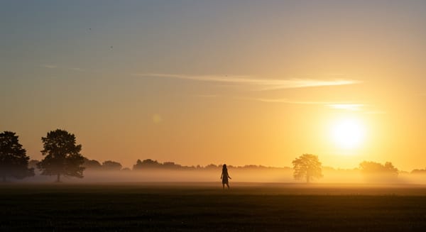 Bom Dia Sexta-Feira Abençoado: Ilumine Seu Dia com Boas Energias