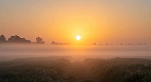 Cantadas de Bom Dia: 15 Mensagens Para Começar o Dia com Charme