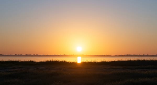 Frases de Bom Dia Curtas: Desperte Sorrisos e Inspire o Dia!