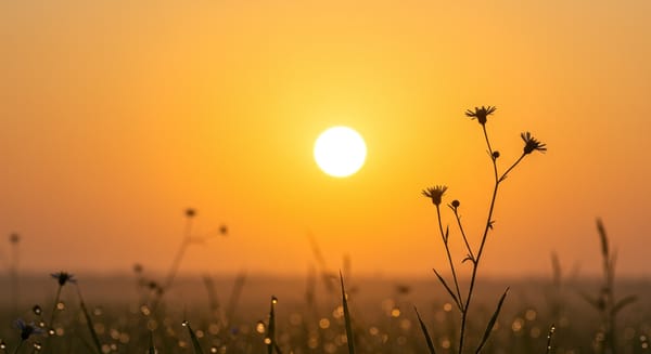 Mensagem de Bom Dia com Fé e Esperança: Comece o Dia com o Coração Leve