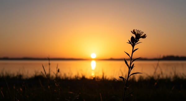 Mensagem de Bom Dia para Hoje: Ilumine o Começo do Seu Dia (e o de Alguém!)