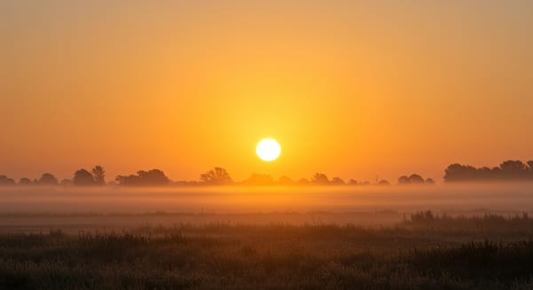 Mensagem de Bom Dia para Surpreender: Ilumine o Dia de Alguém!