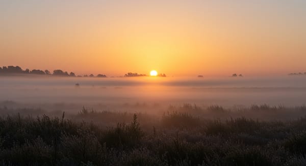 Mensagens e Imagens de Bom Dia: Ilumine Seu Começo