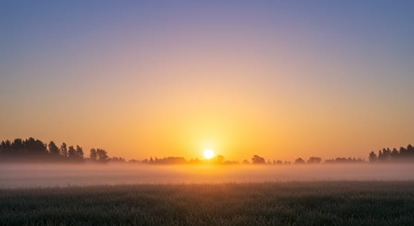 Tenha um Ótimo Dia: Mensagens que Iluminam o Caminho