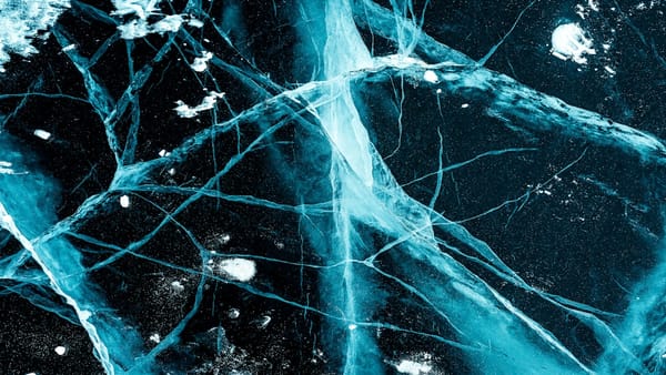 Neuralink participa de ensaio clínico para desenvolver ‘Olho Biônico Inteligente’