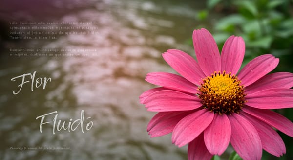 Palavras com FL: Desvendando a Sinergia Linguística