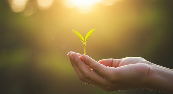 Palavras Motivacionais Curtas: Inspiração Diária para a Alma