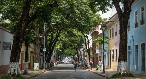 Rua Desembargador Izidro: O Coração da Tijuca