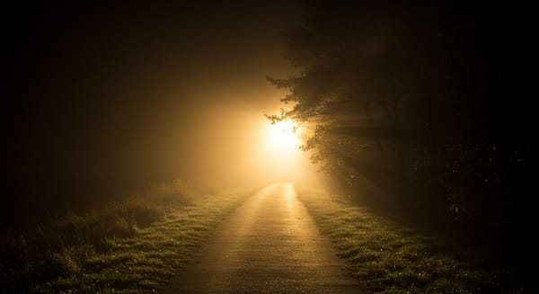 Versículo 8.12: A Luz Que Guia Seus Passos