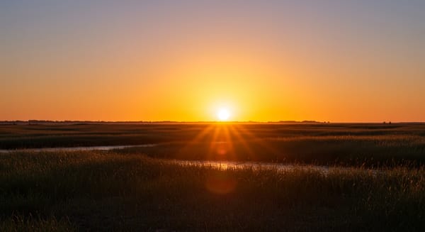 Bom Dia Início de Semana: Mensagens que Inspiram e Transformam