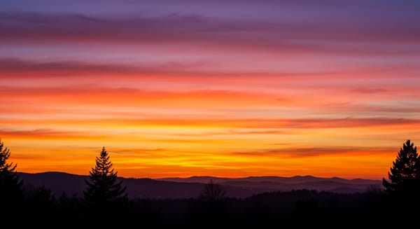 Desperte Sorrisos: Mensagens Animadas de Bom Dia Para Iluminar o Dia de Alguém!