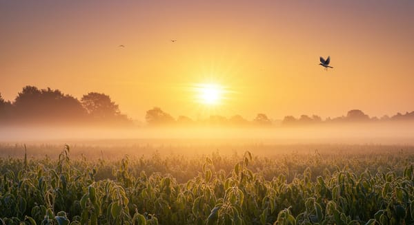 Bom Dia, Terça-Feira! Mensagens para Inspirar Sua Semana