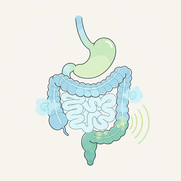 Barulho de Pum: Entenda a Ciência Por Trás do Som e Como Lidar