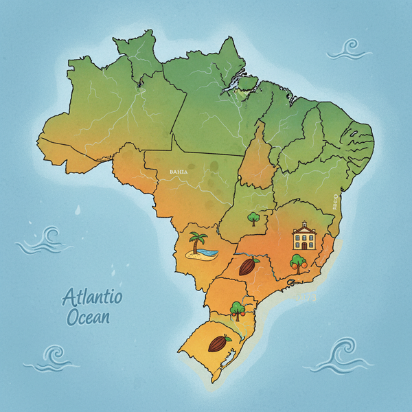 DDD 73: Desvendando o Código de Área e Suas Regiões na Bahia