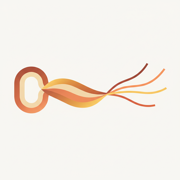 Ditongo: O Guia Completo para Dominar as Palavras em Português